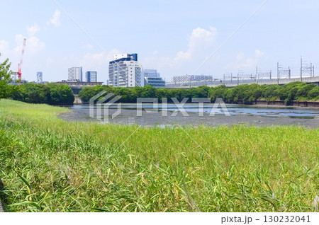 千葉県習志野市谷津干潟周辺2025年8月 千葉県習志野市谷津干潟周辺2025年8月 130232041