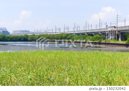 千葉県習志野市谷津干潟周辺2025年8月 130232042