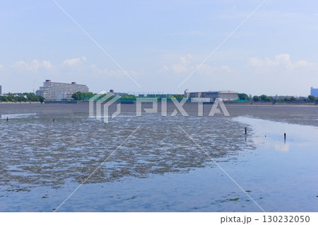 千葉県習志野市谷津干潟周辺2025年8月 千葉県習志野市谷津干潟周辺2025年8月 130232050