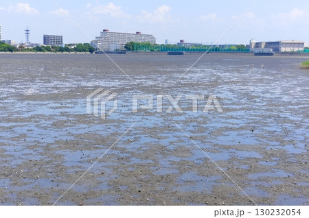 千葉県習志野市谷津干潟周辺2025年8月 千葉県習志野市谷津干潟周辺2025年8月 130232054