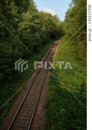 Tranquil and Serene Railway Tracks Meandering Through a Lush and Verdant Green Forest Landscape 130232506