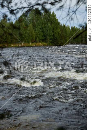 A Serene River Gently Flows Through a Beautifully Lush Forested Landscape, Inviting Peace 130232539