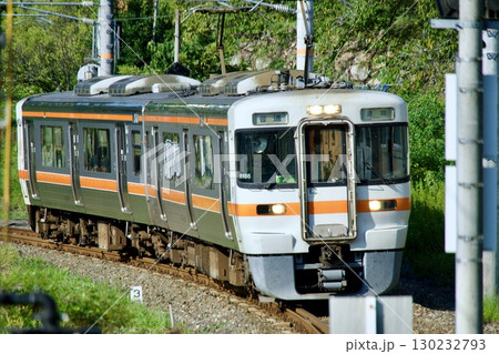 飯田線を走る313系 平岡〜為栗 飯田線を走る313系 平岡〜為栗 130232793