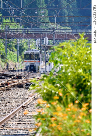 飯田線を走る313系 平岡駅 飯田線を走る313系 平岡駅 130232795