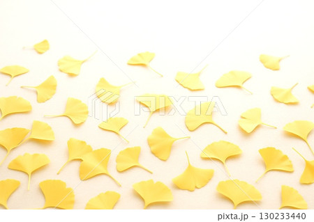 秋の自然テクスチャ背景素材コレクション 紅葉・落ち葉・栗・秋草などの画像 秋の自然テクスチャ背景素材コレクション 紅葉・落ち葉・栗・秋草などの画像 130233440