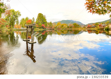 湯布院 金鱗湖の鳥居と紅葉 湯布院 金鱗湖の鳥居と紅葉 130233539