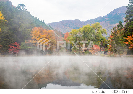 湯布院 金鱗湖の紅葉と朝霧 湯布院 金鱗湖の紅葉と朝霧 130233559
