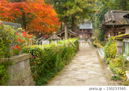 湯布院宇奈岐日女神社の紅葉 湯布院宇奈岐日女神社の紅葉 130233560
