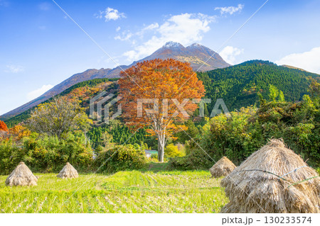 11月の湯布院 130233574