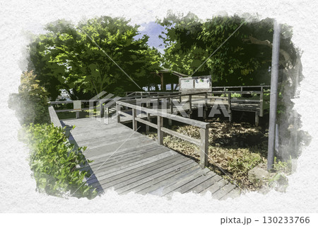 水彩画風　児島湖ふれあい野鳥親水公園　岡山県玉野市 130233766