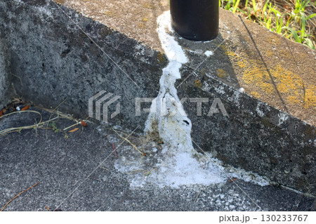 埋設ポールの基部から析出した白華（エフロレッセンス） 130233767