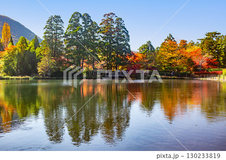 湯布院金鱗湖の紅葉 130233819