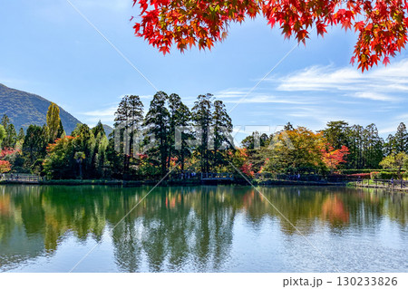 湯布院金鱗湖の紅葉 湯布院金鱗湖の紅葉 130233826