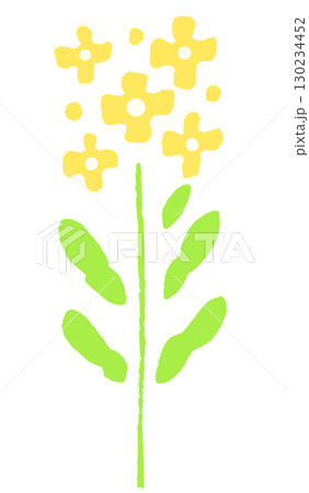 シンプルな菜の花 イラスト シンプルな菜の花 イラスト 130234452