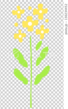 シンプルな菜の花 イラスト シンプルな菜の花 イラスト 130234452