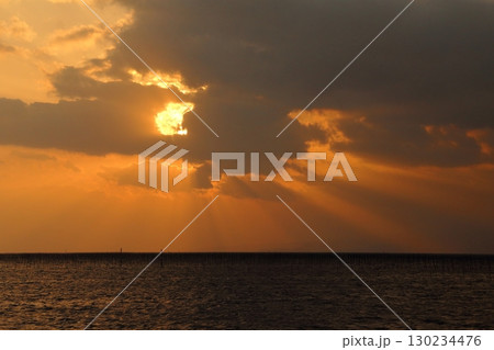 大牟田市　有明海　海苔畑　大晦日の夕暮れ、 130234476