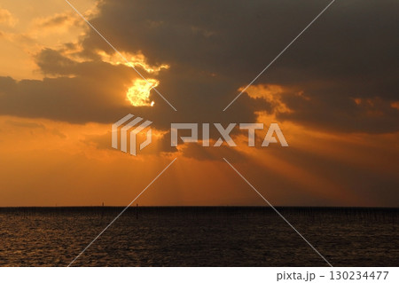大牟田市　有明海　海苔畑　大晦日の夕暮れ、 130234477