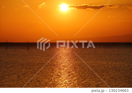 大牟田市　有明海　海苔畑　元旦の夕暮れ、 130234663
