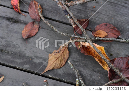 落ち葉の歩道 ウッドデッキ 130235128