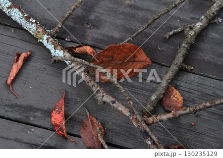 落ち葉の歩道 ウッドデッキ 落ち葉の歩道 ウッドデッキ 130235129