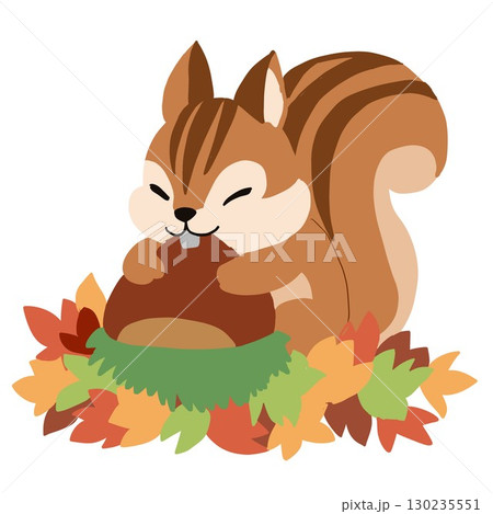 栗にくるまる動物リス 栗にくるまる動物リス 130235551