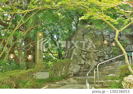 八幡山城 130236053