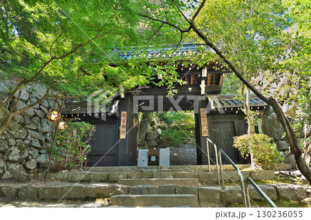 八幡山城 130236055