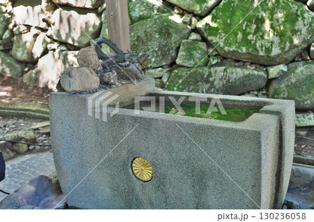 八幡山城 八幡山城 130236058