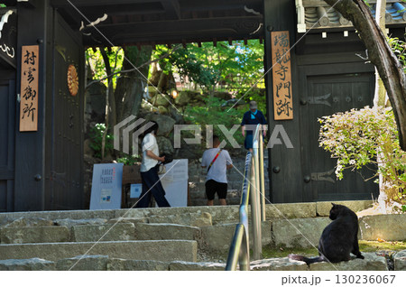 八幡山城 八幡山城 130236067