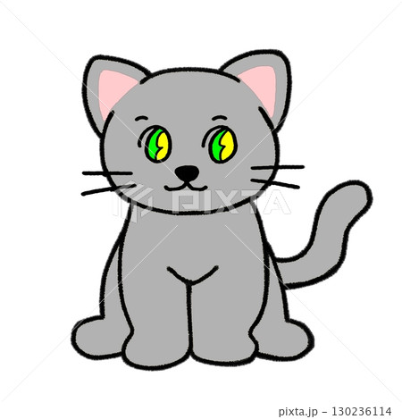 可愛い目がキラキラしたお座りしたグレー猫_全身 可愛い目がキラキラしたお座りしたグレー猫_全身 130236114