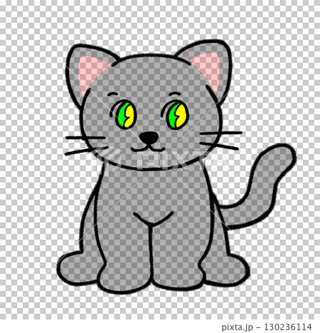 可愛い目がキラキラしたお座りしたグレー猫_全身 可愛い目がキラキラしたお座りしたグレー猫_全身 130236114