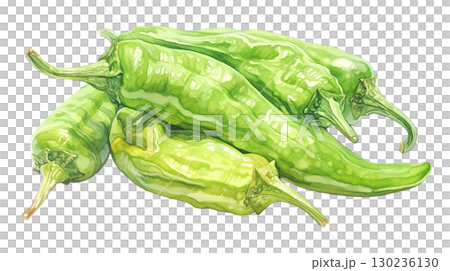 Watercolor illustration of sweet pepper on transparent background (png) 130236130