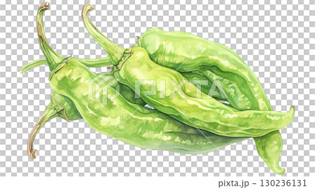 Watercolor illustration of sweet pepper on transparent background (png) 130236131
