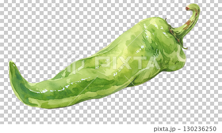 Watercolor illustration of sweet pepper on transparent background (png) 130236250