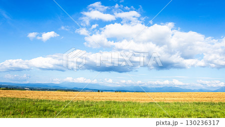 青空と雲と北海道の大地のシンプルな風景 130236317