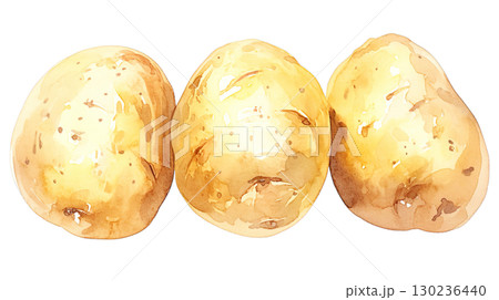 透明背景(png)にジャガイモの水彩イラスト 透明背景(png)にジャガイモの水彩イラスト 130236440