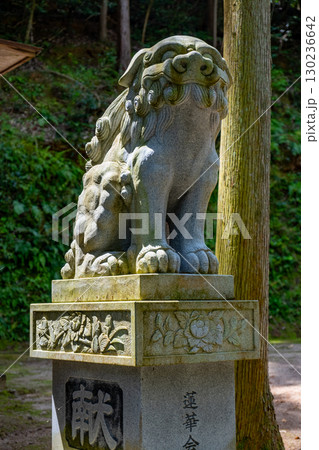 宗形神社 狛犬 鳥取県米子市宗像 宗形神社 狛犬 鳥取県米子市宗像 130236642