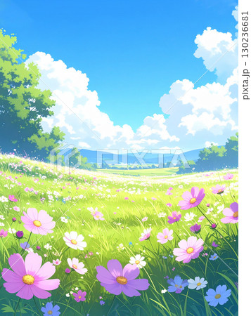 コスモス 草原 青空 コスモス 草原 青空 130236681