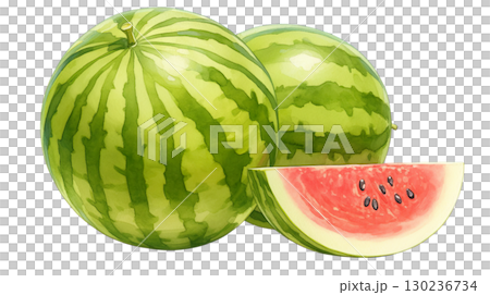透明背景（png）に美味しそうなスイカの水彩イラスト 130236734