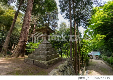 宗形神社　参道　鳥取県米子市宗像 130236749