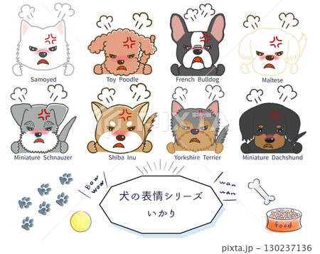 犬種別表情シリーズ　怒っている犬 130237136