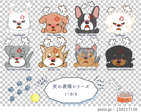 犬種表情系列：憤怒的狗 130237136