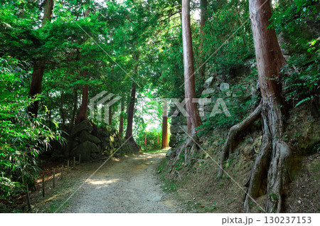 西国三十三所第32番札所　観音正寺 130237153