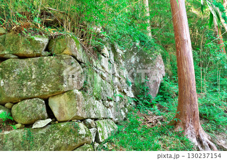西国三十三所第32番札所　観音正寺 130237154