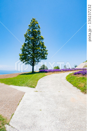 兵庫県淡路島のあわじ花さじきからの眺望 130237232