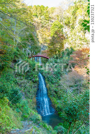 岐阜県八百津町　剣豪宮本武蔵が修行したと言われる伝説がある秋の五宝滝 130237321