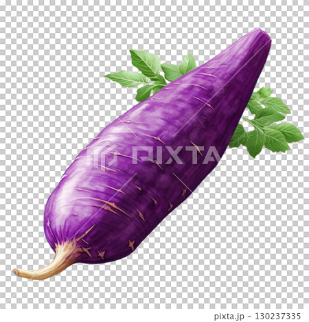 sweet potato 130237335