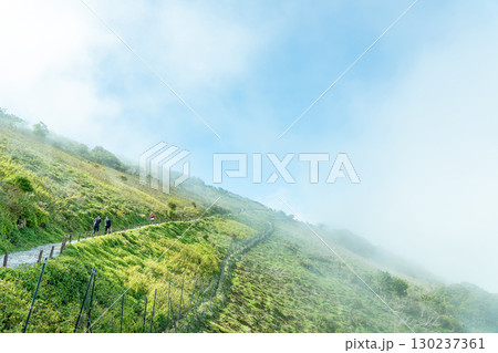 岐阜県関ケ原町　伊吹山ドライブウェイ駐車場からの山頂への登山道 130237361