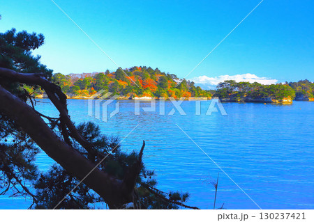 松島・雄島から眺望する松島湾の紅葉する島々 松島・雄島から眺望する松島湾の紅葉する島々 130237421