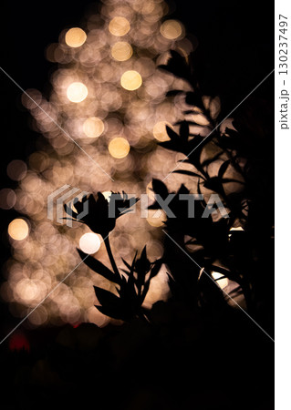 東京恵比寿ガーデンプレイスの夜景 130237497